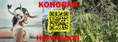 СК Бугуруслан