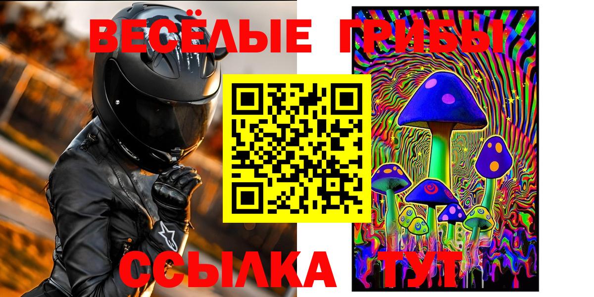 Лесной  Галлюциногенные грибы Cubensis  Галлюциногенные грибы GOLDEN TEACHER  Вход с VPN 